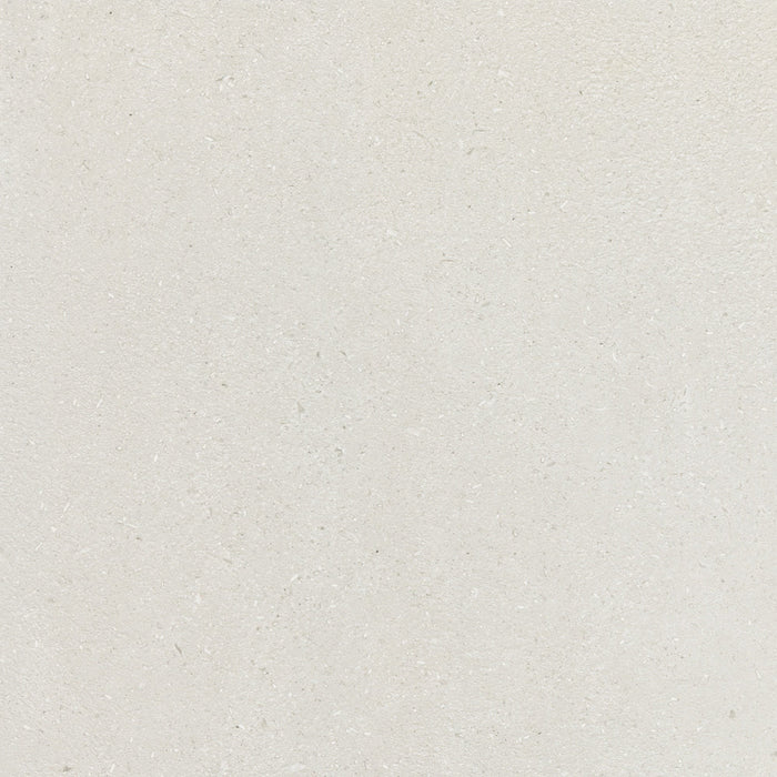 Daltile - Outlander 24 in. x 24 in. Porcelain Tile - Palazzo Sterling