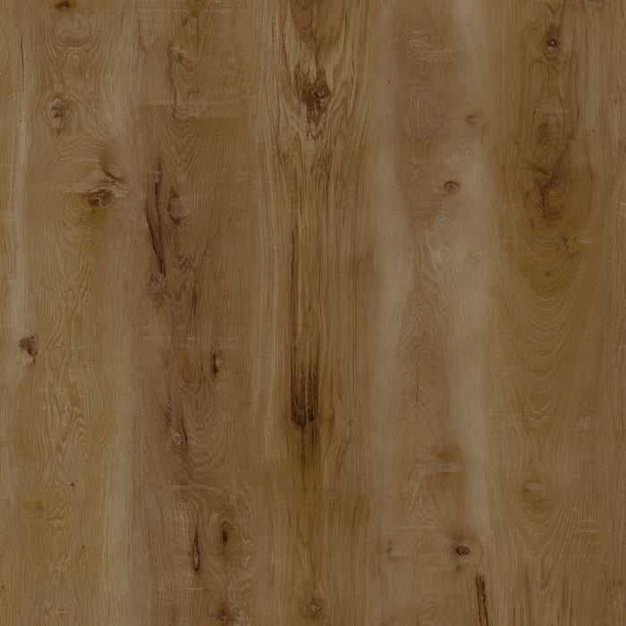 Create Flooring - Reserve Collection - 9 in. x 60 in. WPC Core Luxury Vinyl - Bernhardt