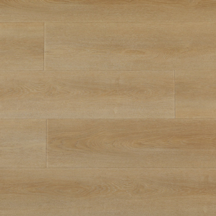 Create Flooring - Serene Scapes - 9 in. x 60 in. WPC Core Luxury Vinyl - Windswept