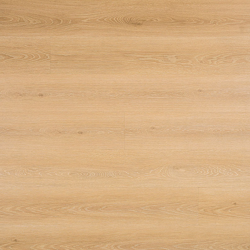 MSI - Rigid Core - Cyrus Series 2.0 - Valleyview Grove — Floorzz