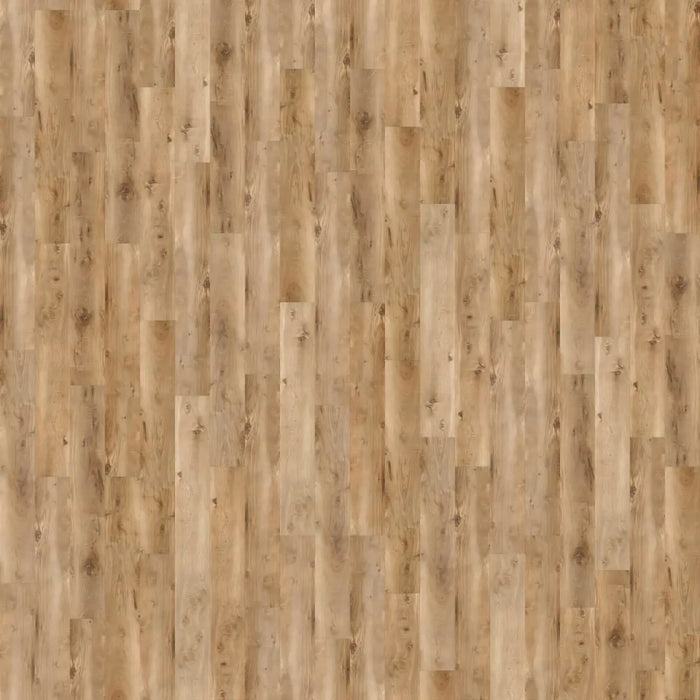 CALI Floors - Longboard Icons Collection - 9 in. x 72 in. WPC Flooring - Fair Northshore Variation View