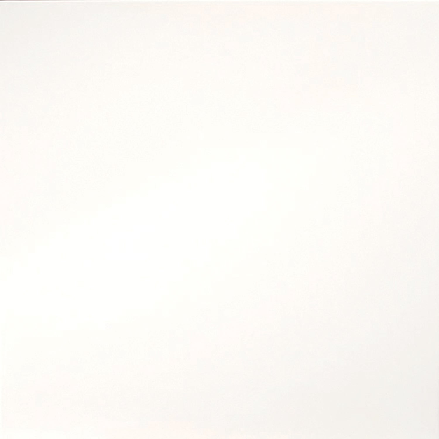 Emser Tile - Times Square 24" x 24" Glazed Porcelain Tile - Matte White