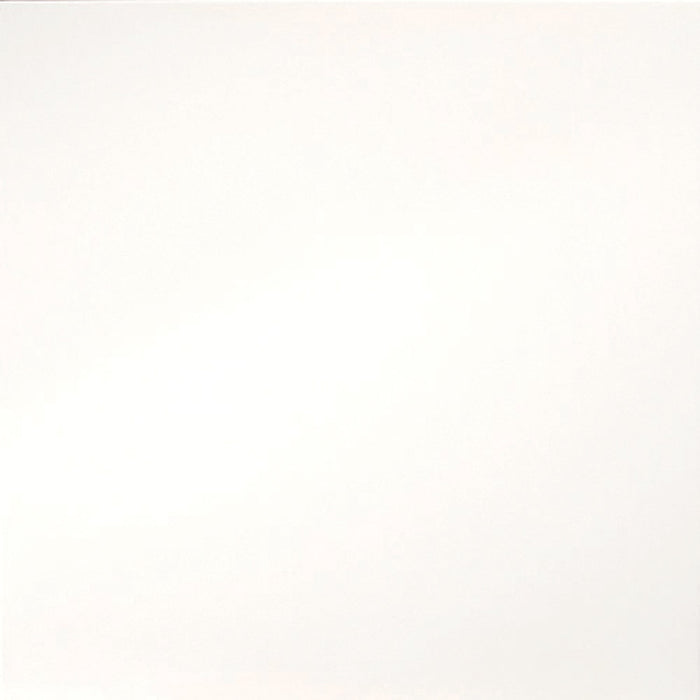 Emser Tile - Times Square 24" x 24" Glazed Porcelain Tile - Matte White