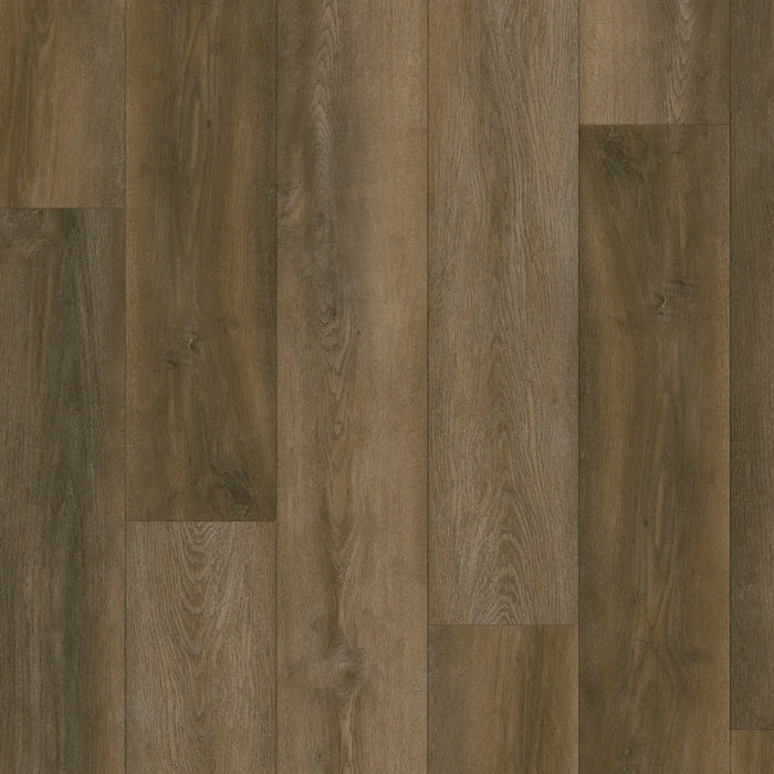 Echelon Flooring - Ultra Collection - 9 in. x 60 in. WPC Luxury Vinyl - Petrified