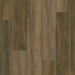 Echelon Flooring - Ultra Collection - 9 in. x 60 in. WPC Luxury Vinyl - Petrified
