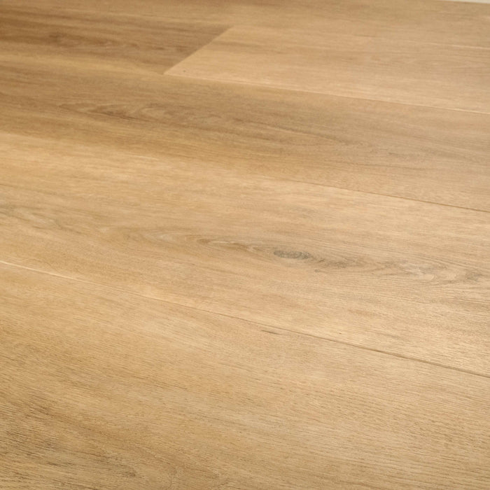 MSI - Wayne Parc Reserve Luxury Vinyl Plank - Elwood Close View