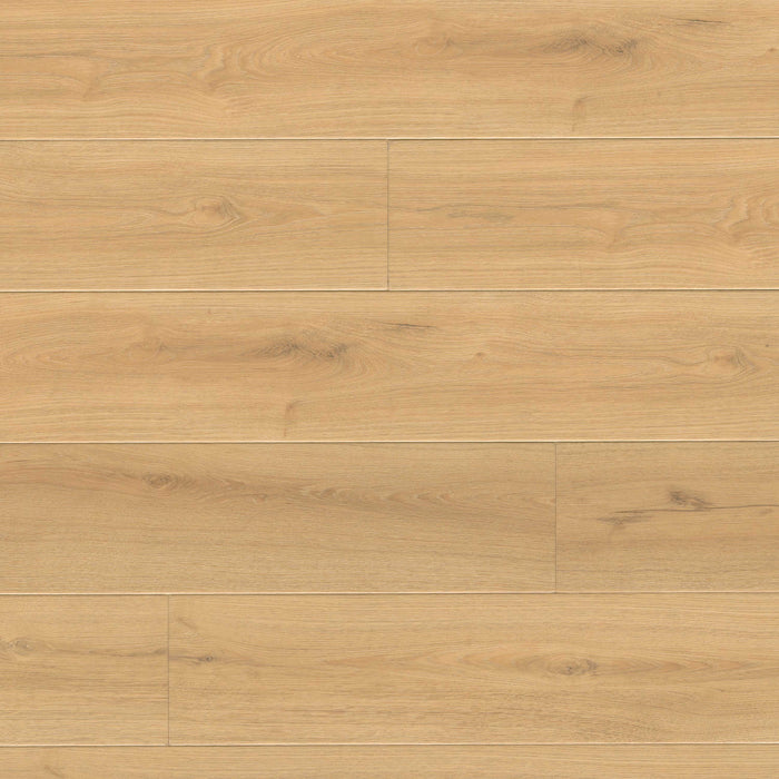 MSI - Wayne Parc Reserve Luxury Vinyl Plank - Elwood