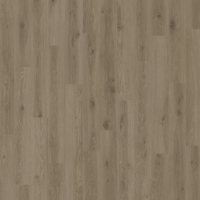 Engineered Floors - Nurture Collection - 7 in. x 48 in. - Arbor