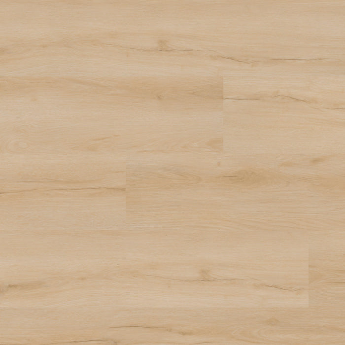 MSI - Nove Plus Luxury Vinyl Plank - Fallonton