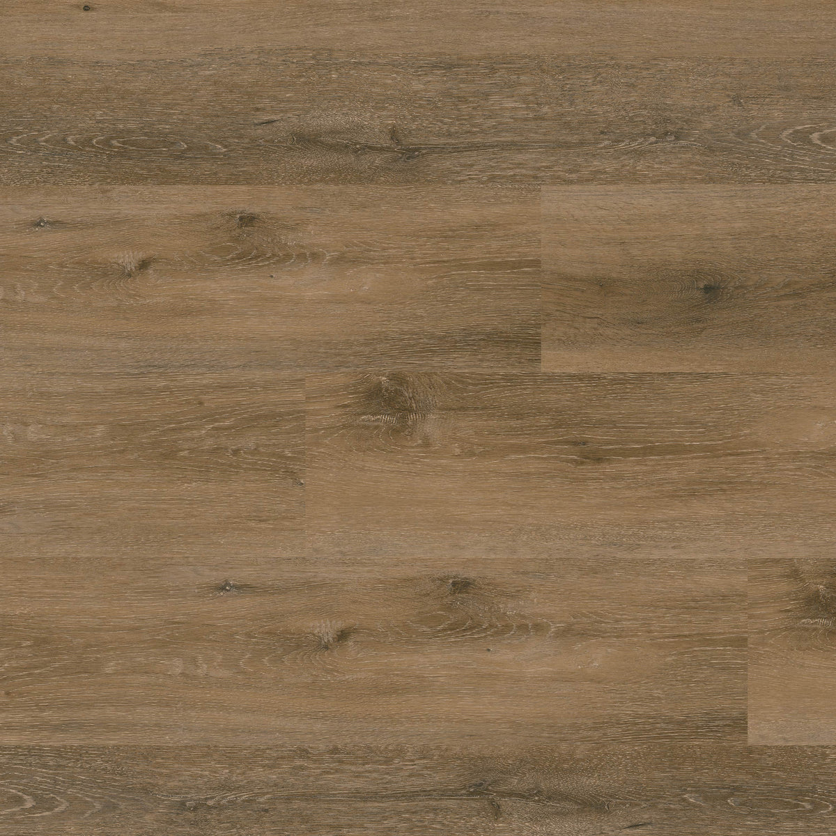 MSI - Nove Plus Luxury Vinyl Plank - Hatfield — Floorzz