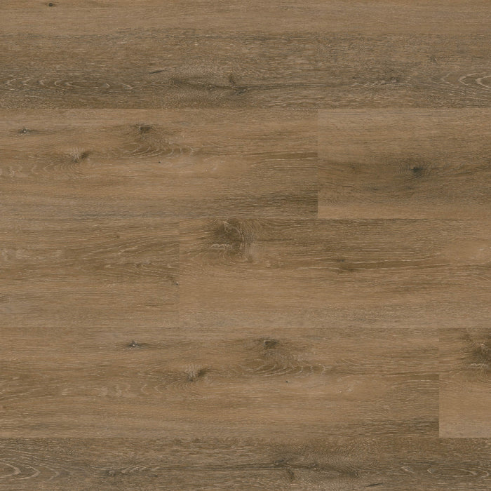 MSI - Nove Plus Luxury Vinyl Plank - Hatfield