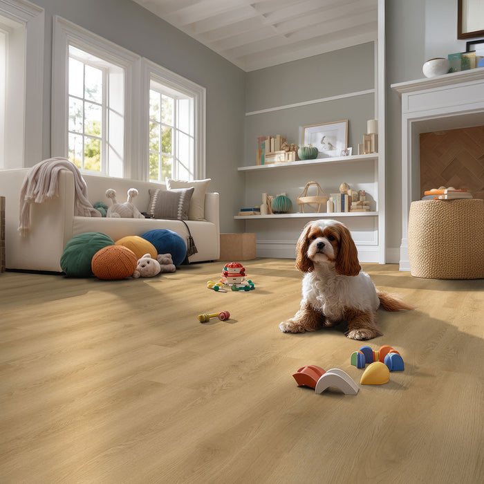 MSI - Nove Plus Luxury Vinyl Plank - Hyde Haven floor installation