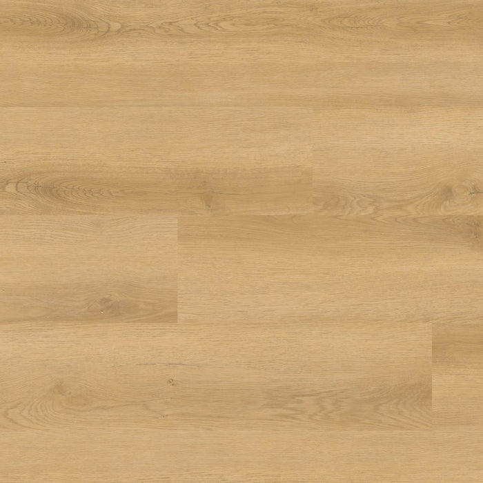 MSI - Nove Plus Luxury Vinyl Plank - Hyde Haven