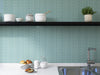 Maniscalco - Chameleon Series - 1" x 1" Porcelain Hex Mosaic - Mint Rose Installed