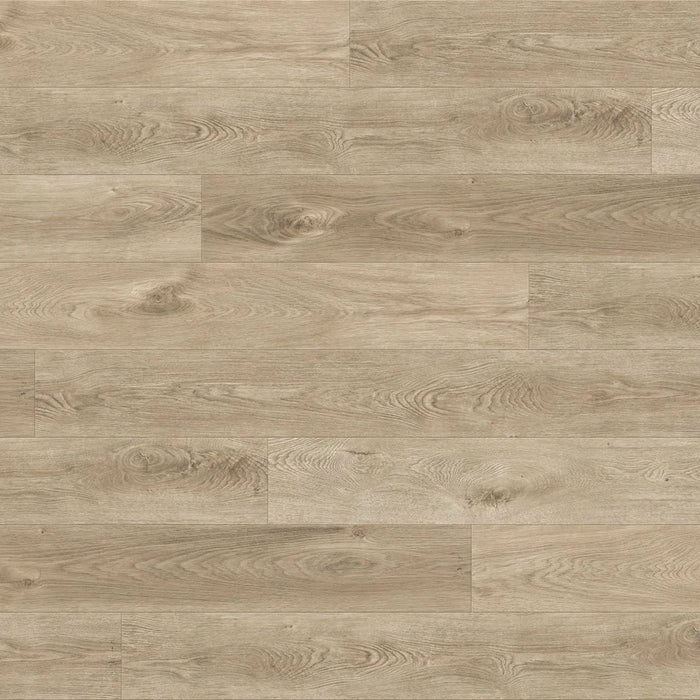 TrueTouch - Momentum ™ Engineered Flooring - Motion