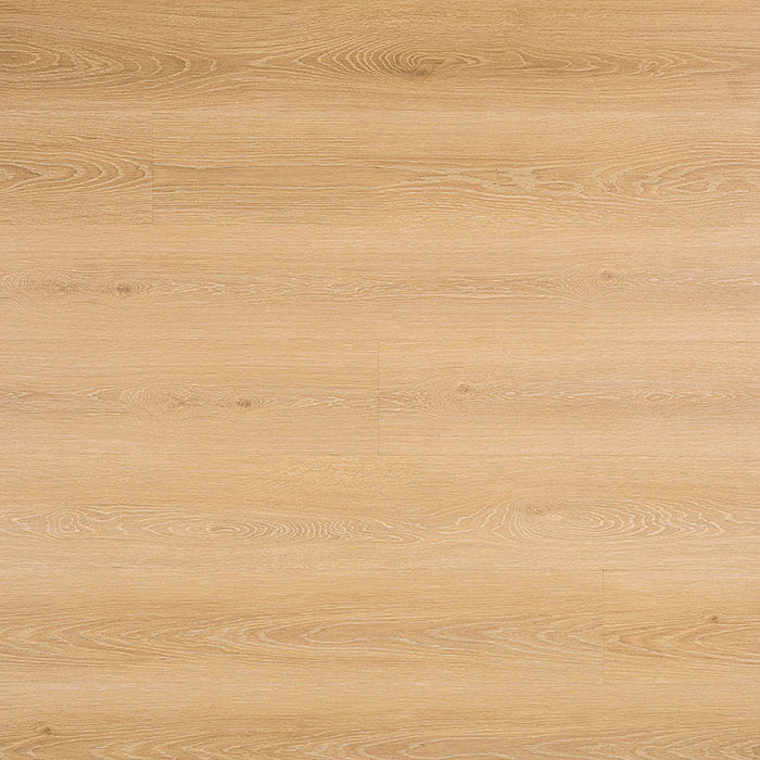 MSI - Rigid Core - Prescott Series - Valleyview Grove — Floorzz