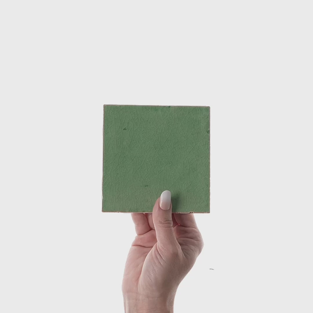 Daltile - Contempee Collection - 4 in. x 4 in. - Handcrafted Glossy Ceramic Wall Tile - Ivy Video