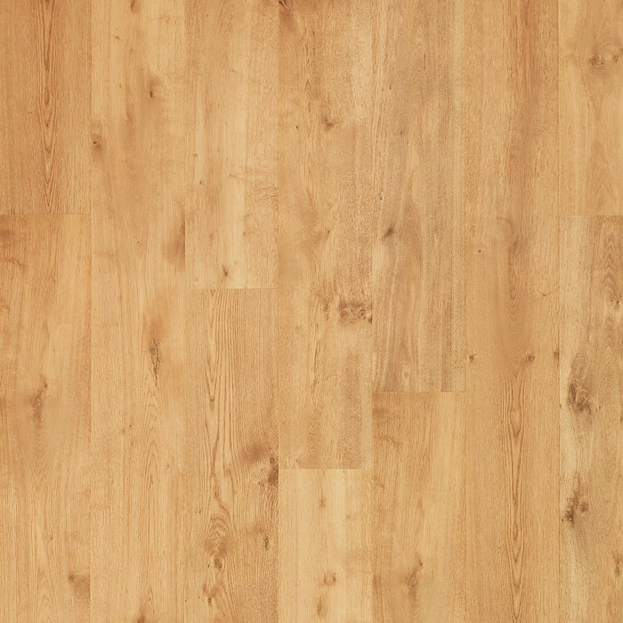 Quickstep - NatureTEK Plus - Colossia Collection Laminate Flooring - Grain Oak