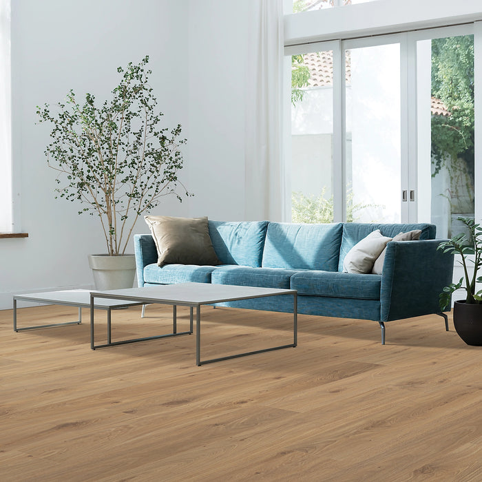 Quickstep - NatureTEK Select - Ellicott Point Collection Laminate Flooring - Gilded Page Oak Installed