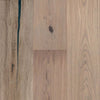 See Robbins - Nature's Canvas Collection - 9