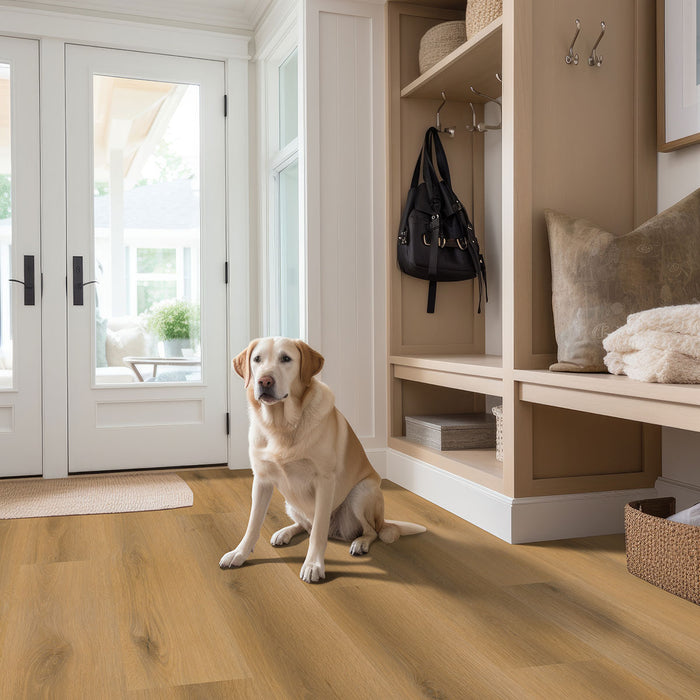 MSI - Nove Luxury Vinyl Plank - Scandi floor installation