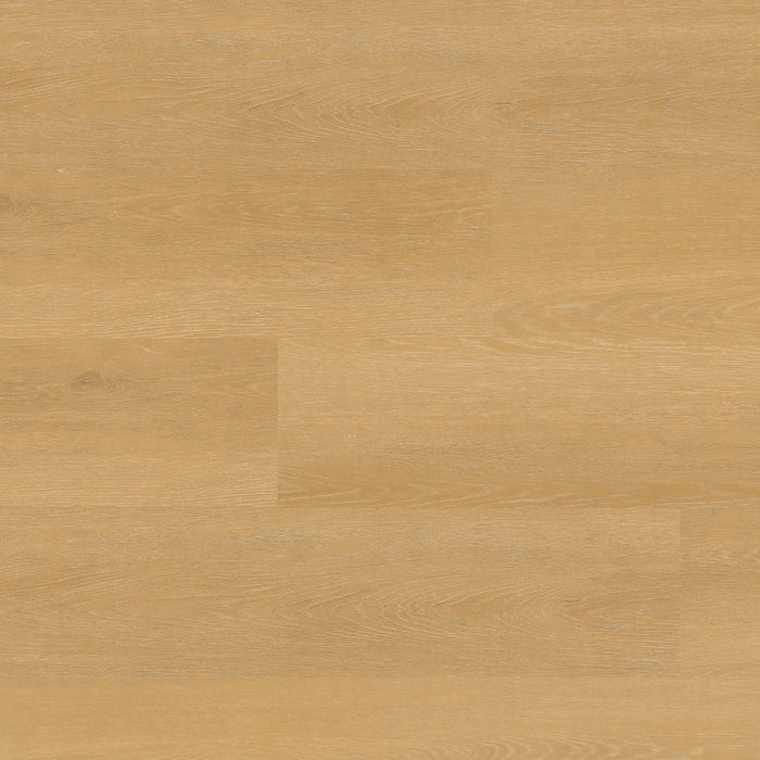 MSI - Nove Plus Luxury Vinyl Plank - Selbourne