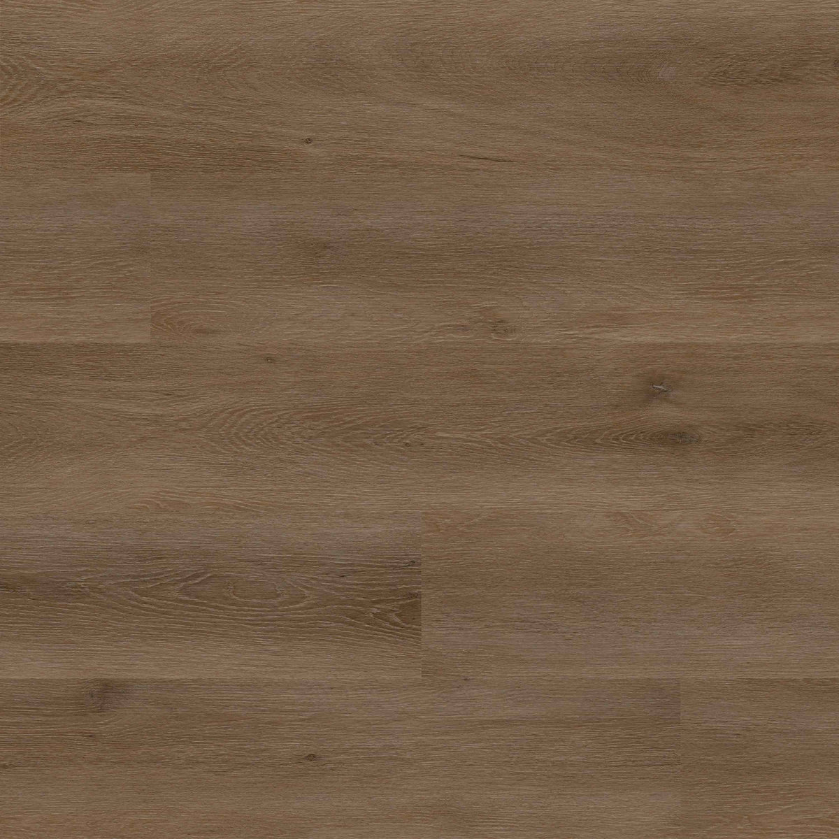 MSI - Rigid Core - Everlife Studio Series - Doack — Floorzz