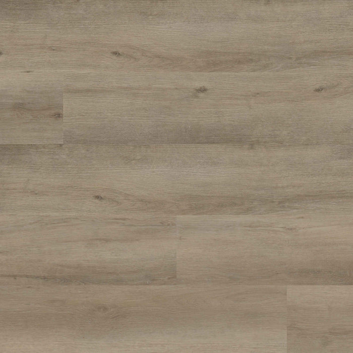 MSI - Rigid Core - Everlife Studio Series - Lark