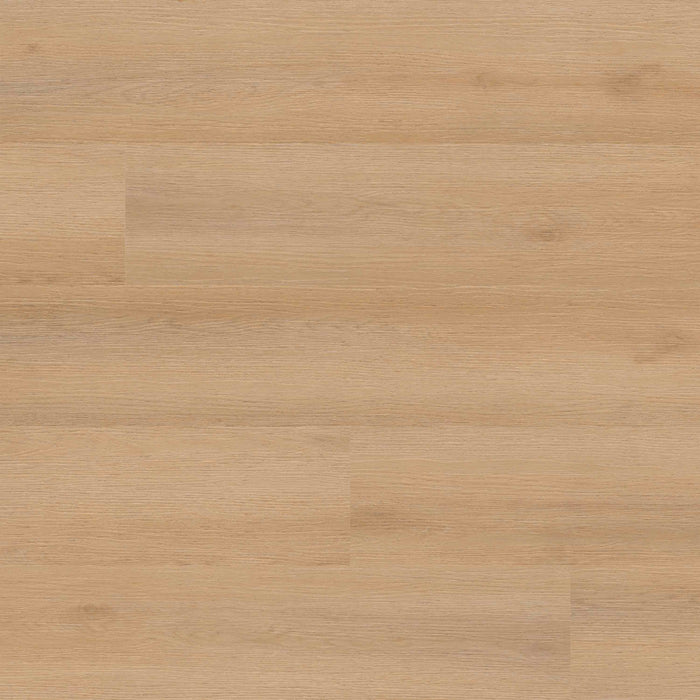 MSI - Rigid Core - Everlife Studio Series - Quillian