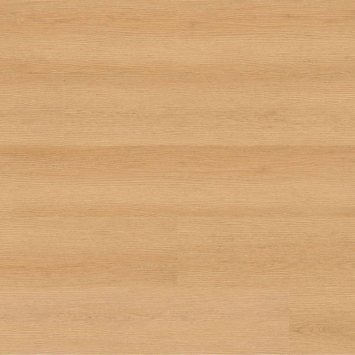 MSI - Rigid Core - Everlife Studio Series - Roswell