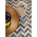 Tesoro - Fuoritono Collection - 4 in. x 12 in. Porcelain Matte Tile - Bianco Room Scene 2