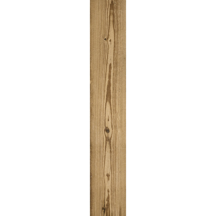 Tesoro - Cortina Collection - 10 in. x 60 in. Porcelain Tile - Honey
