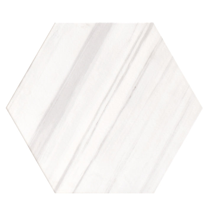 Tesoro - Argos Collection - 19 in. x 22 in. Hex Porcelain Tile - Dolomite