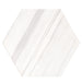 Tesoro - Argos Collection - 19 in. x 22 in. Hex Porcelain Tile - Dolomite