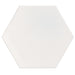 Tesoro - Argos Collection - 19 in. x 22 in. Hex Porcelain Tile - White