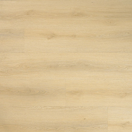MSI - Laurel Reserve Luxury Vinyl Plank - Tranquilla — Floorzz