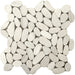 Emser Tile - Venetian Pebbles - 12" x 12" Stone Mosaic - Ivory