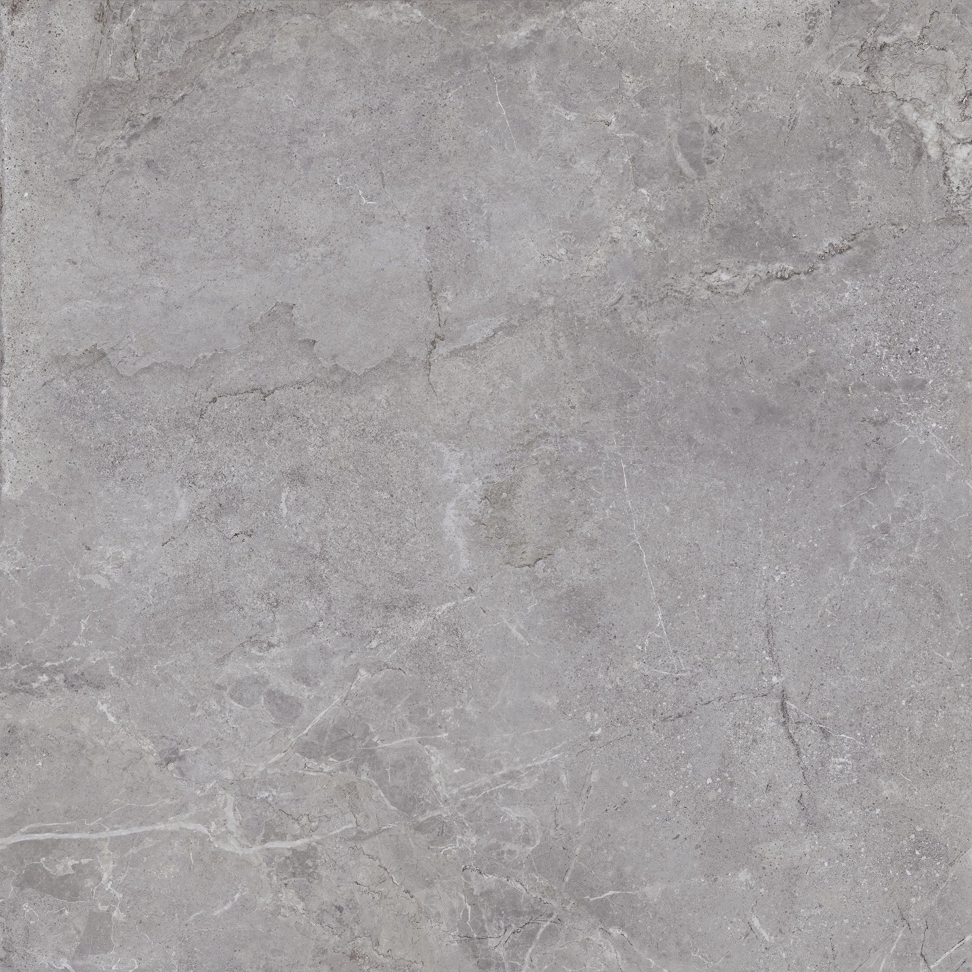 Tesoro - Evolution Series - 24 in. x 24 in. Rectified Porcelain Tile - Grey