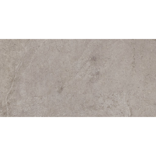 Tesoro - Evolution Series - 12 in. x 24 in. Rectified Porcelain