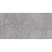 Tesoro - Evolution Series - 12 in. x 24 in. Rectified Porcelain Tile - Grey