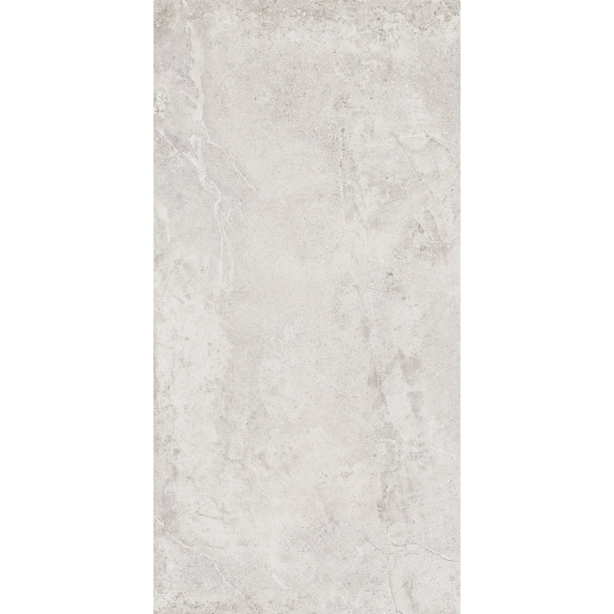 Tesoro - Evolution Series - 24 in. x 48 in. Rectified Porcelain