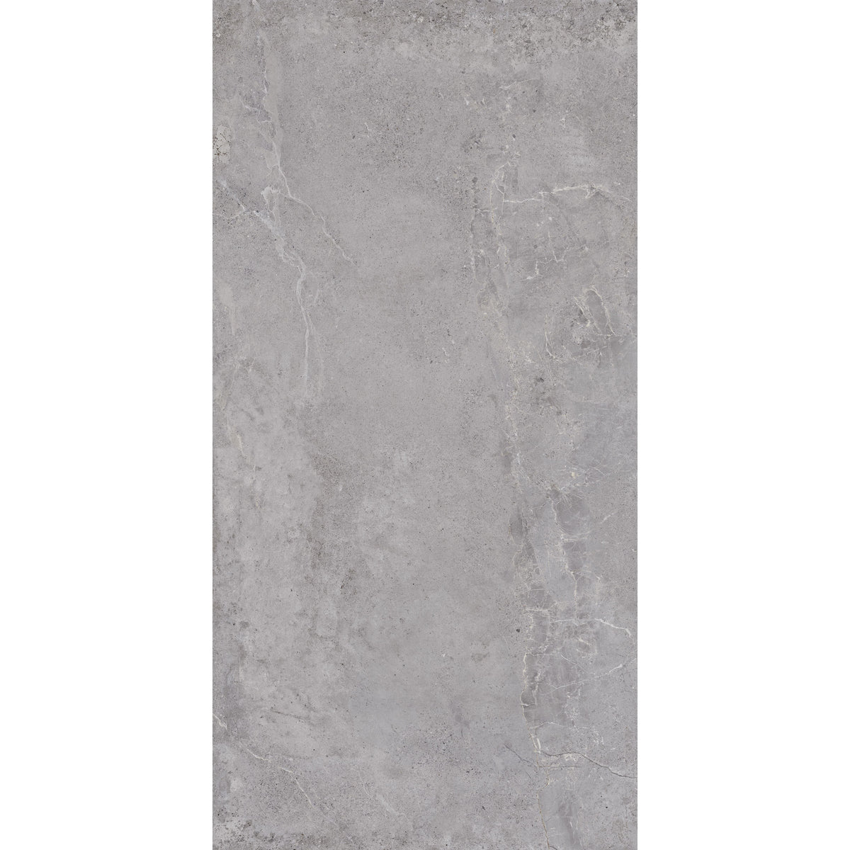 Tesoro - Evolution Series - 24 in. x 48 in. Rectified Porcelain Tile - Grey