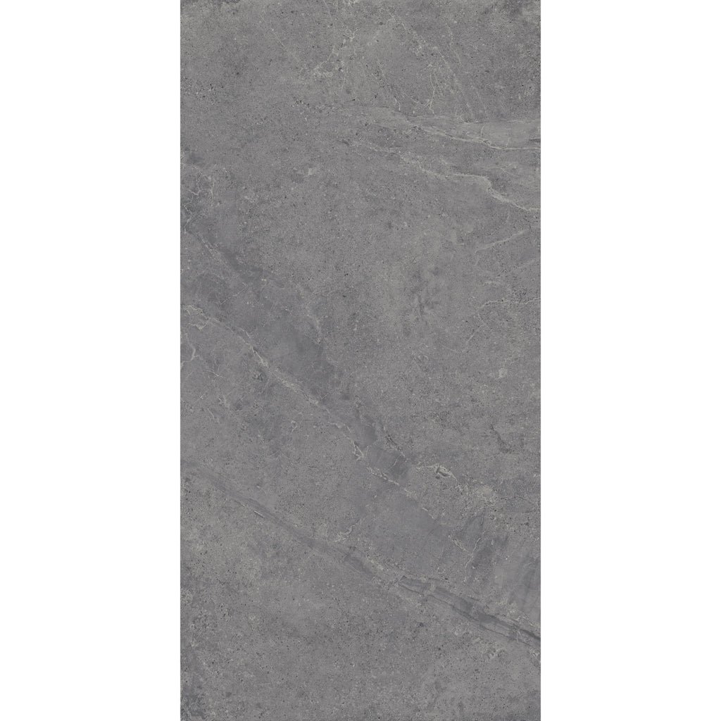 Tesoro - Evolution Series - 24 in. x 48 in. Rectified Porcelain
