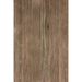 Elysium - Selection Oak Series - 8 in. x 48 in. Matte Porcelain Tile - Brown