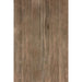 Elysium - Selection Oak Series - 11 in. x 71 in. Matte Porcelain Tile - Brown
