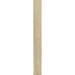 Elysium - Planches 6 in. x 48 in. Porcelain Tile - Amande