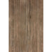 Elysium - Selection Oak Series - 6 in. x 36 in. Matte Porcelain Tile - Brown