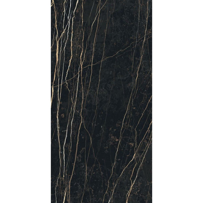Elysium - Prexious - 24 in. x 48 in. Glossy Rectified Porcelain Tile - Thunder Night