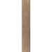 Elysium - Faedo 8 in. x 48 in. Porcelain Tile - Taupe