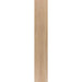 Elysium - Faedo 8 in. x 48 in. Porcelain Tile - Miel
